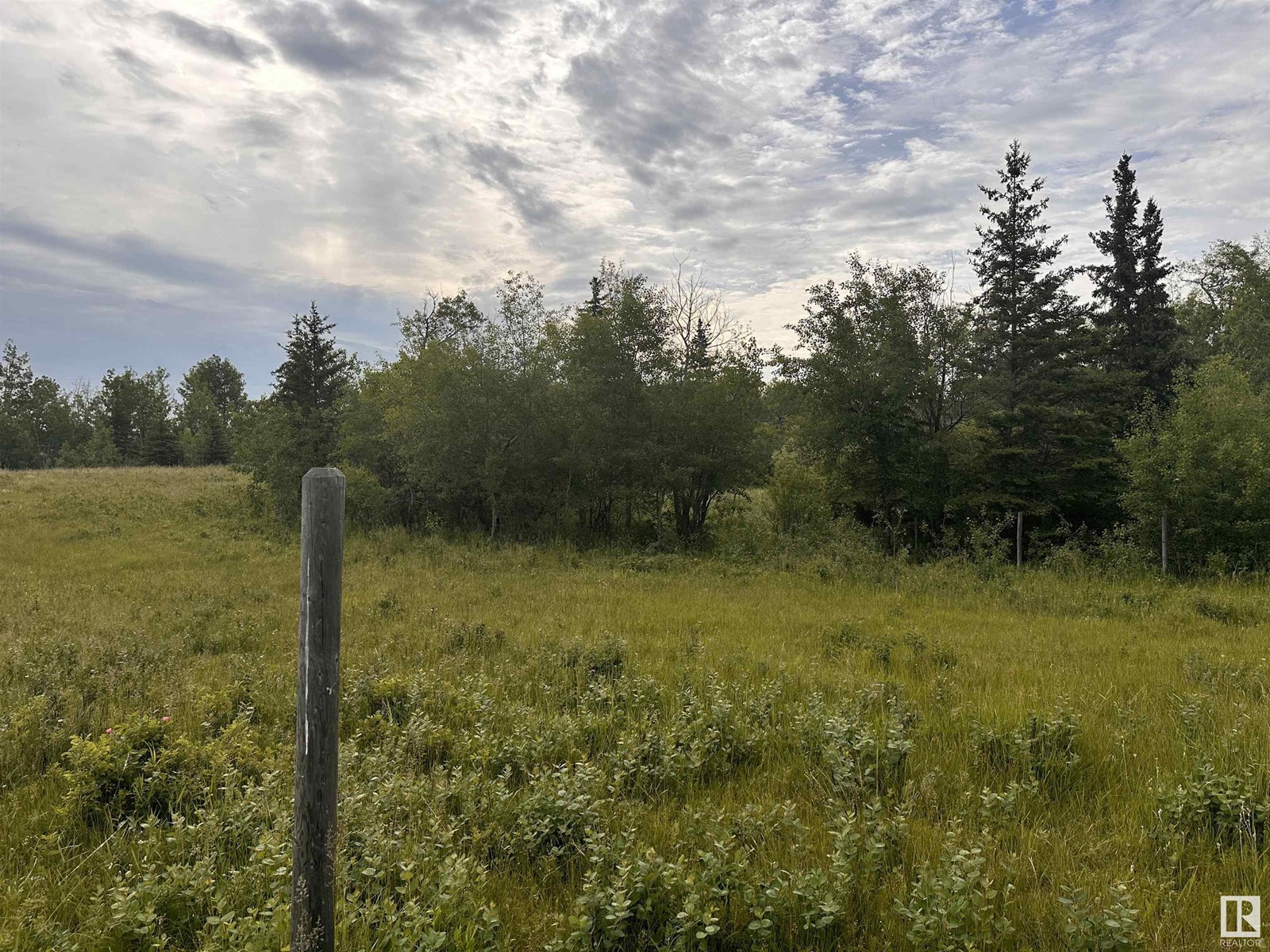 Lot 3 Rr 273 Rd, Rural Sturgeon County, Alberta  T0E 1V0 - Photo 9 - E4394824