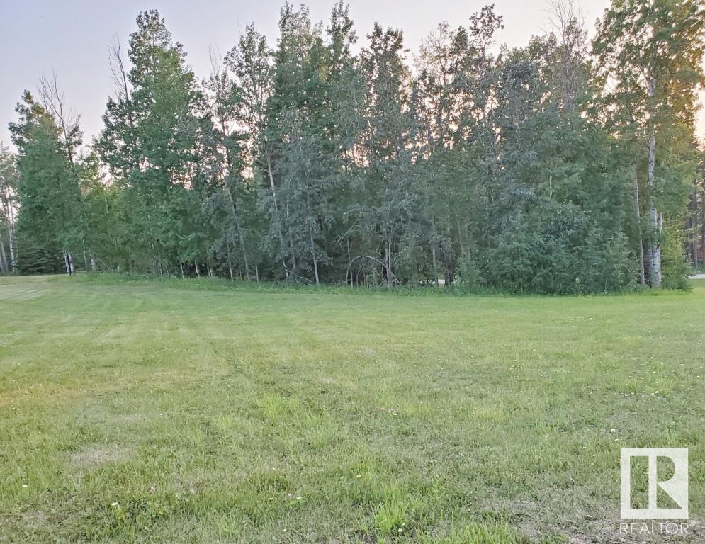 73 Silversprings, Rural Wetaskiwin County, Alberta  T0C 0T0 - Photo 7 - E4395329