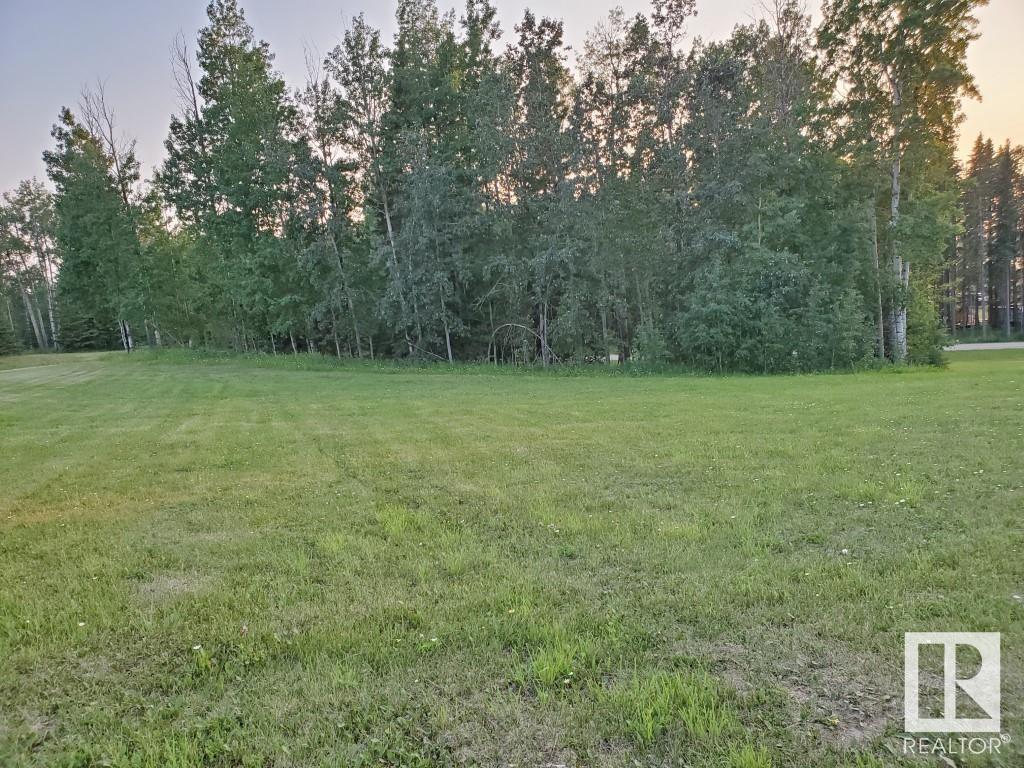 73 Silversprings, Rural Wetaskiwin County, Alberta  T0C 0T0 - Photo 8 - E4395329