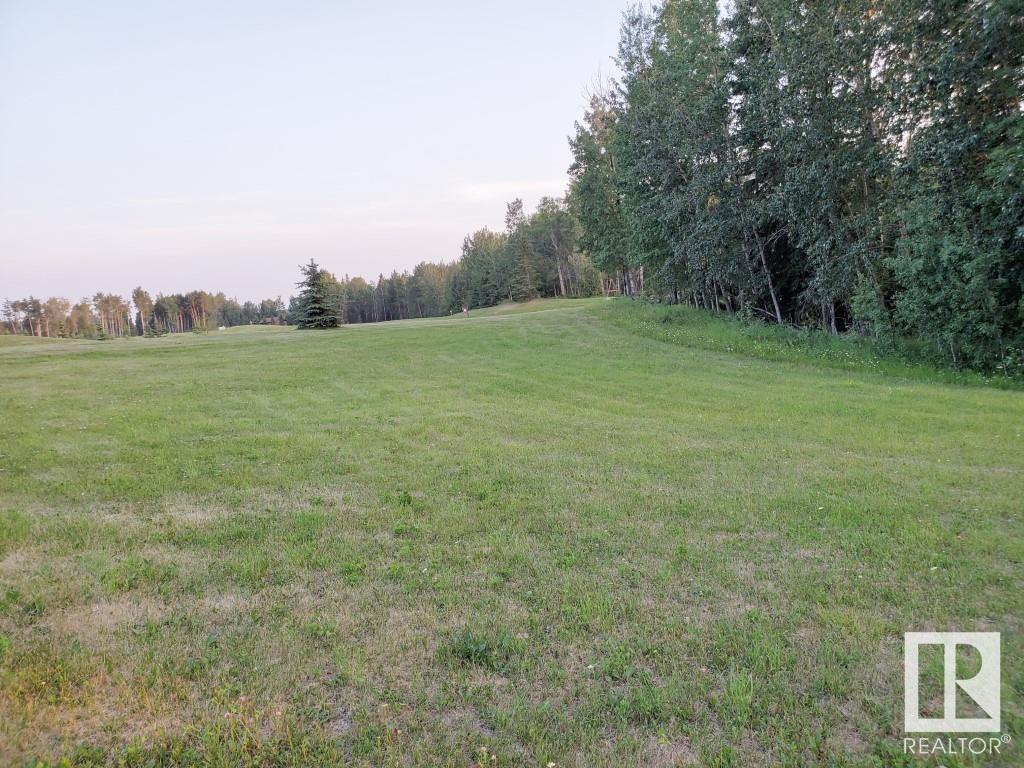 73 Silversprings, Rural Wetaskiwin County, Alberta  T0C 0T0 - Photo 9 - E4395329