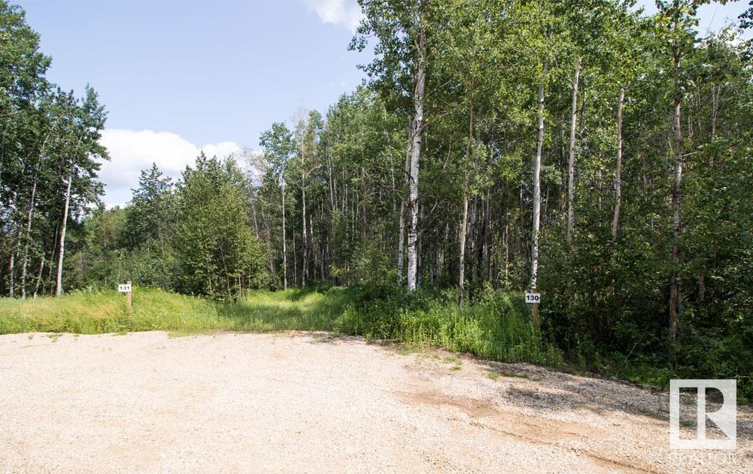 #130 5519 Twp Rd 550, Rural Lac Ste. Anne County, Alberta  T0E 0L0 - Photo 2 - E4395512