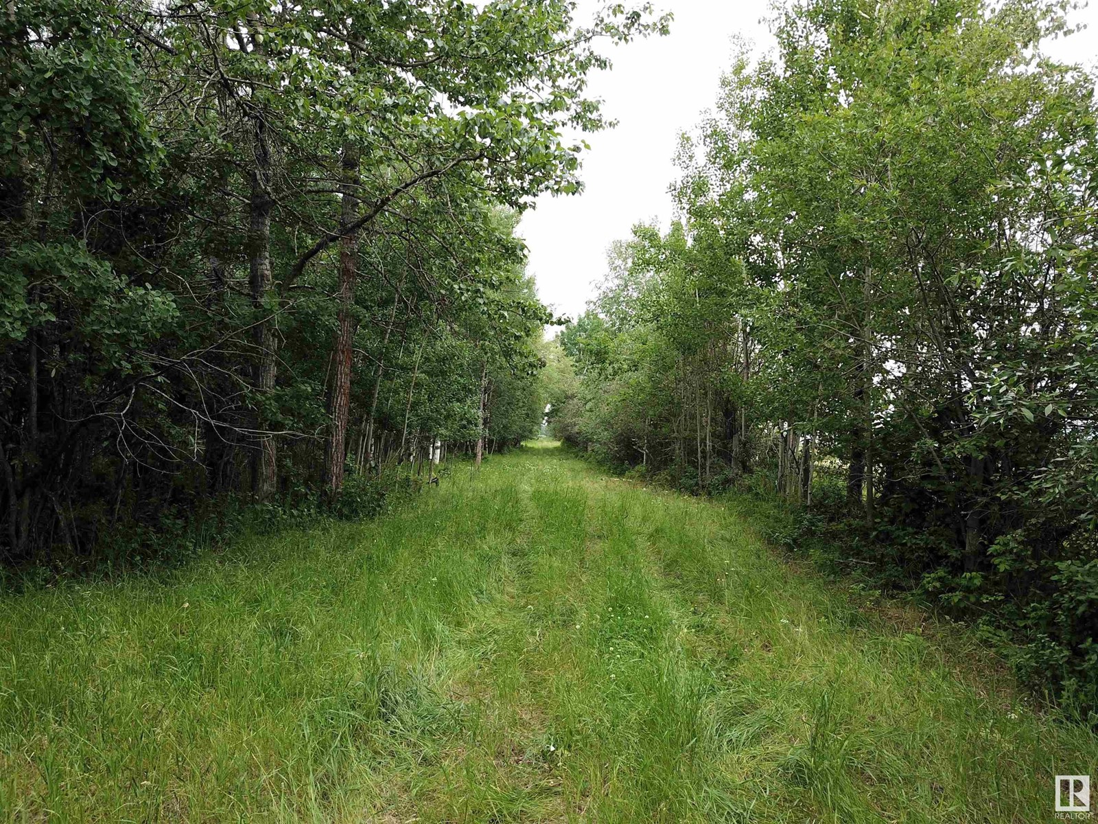 5-5-53-28-Se Lot C, Rural Parkland County, Alberta  T0E 0V0 - Photo 9 - E4396550