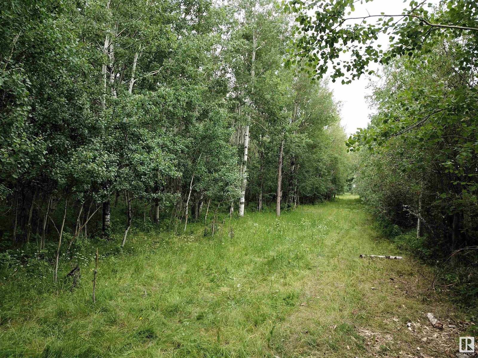 5-5-53-28-Se Lot D, Rural Parkland County, Alberta  T0E 0V0 - Photo 11 - E4396551