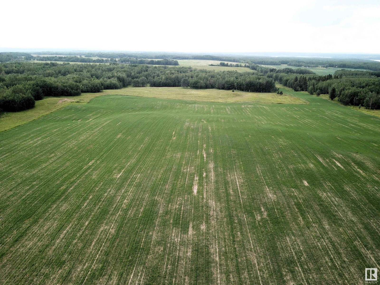 5-5-53-28-Se Lot D, Rural Parkland County, Alberta  T0E 0V0 - Photo 3 - E4396551