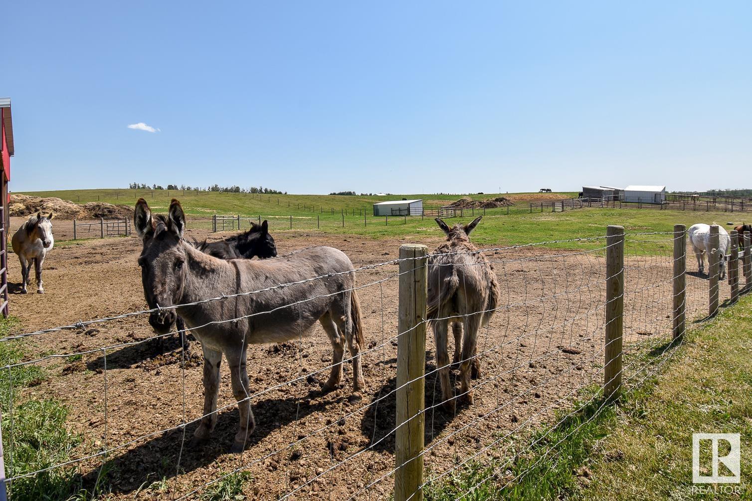 51211 Rge Rd 62, Rural Parkland County, Alberta  T0E 2H0 - Photo 51 - E4396792