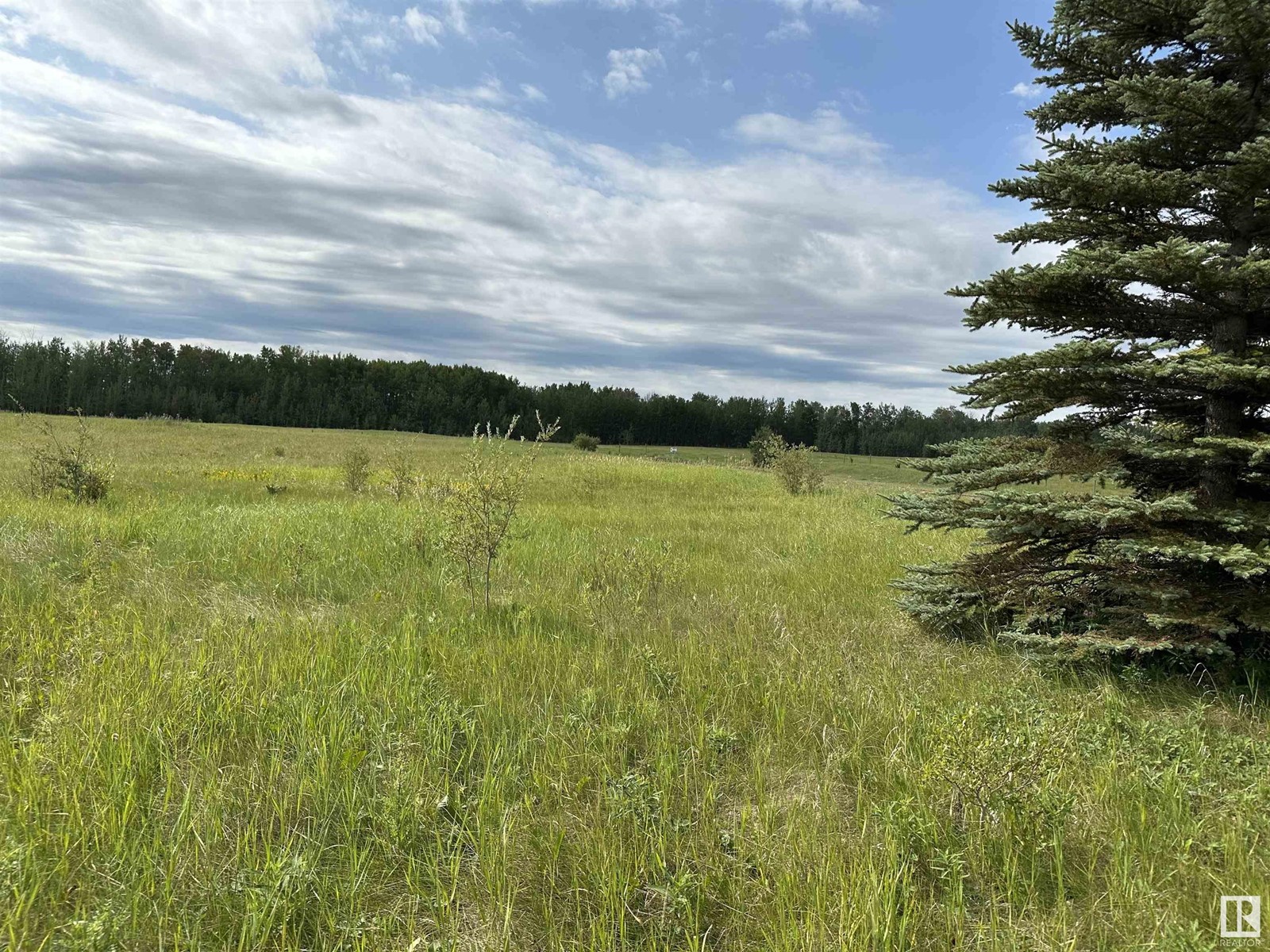 71 15025 Twp Rd 470, Rural Wetaskiwin County, Alberta  T0C 2C0 - Photo 3 - E4397136