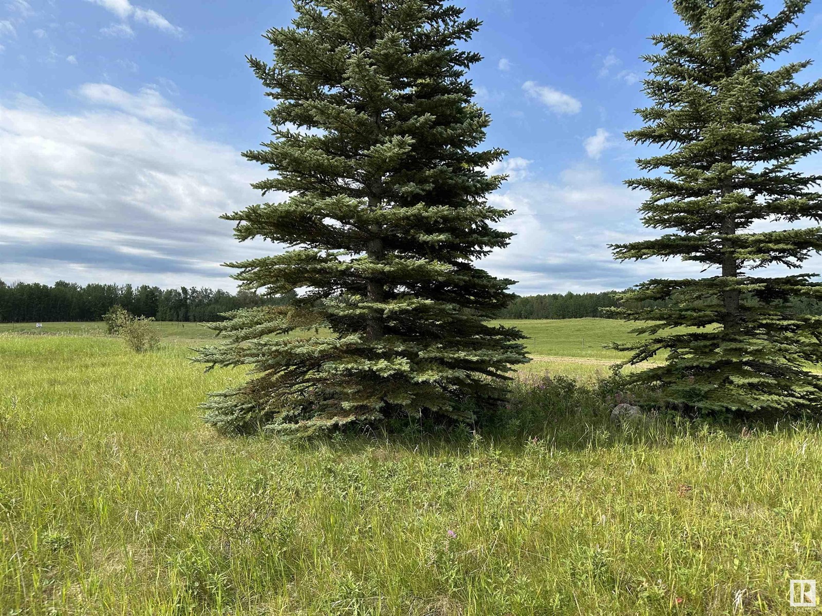 71 15025 Twp Rd 470, Rural Wetaskiwin County, Alberta  T0C 2C0 - Photo 4 - E4397136