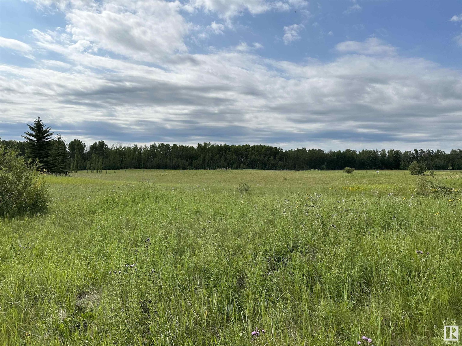 71 15025 Twp Rd 470, Rural Wetaskiwin County, Alberta  T0C 2C0 - Photo 5 - E4397136