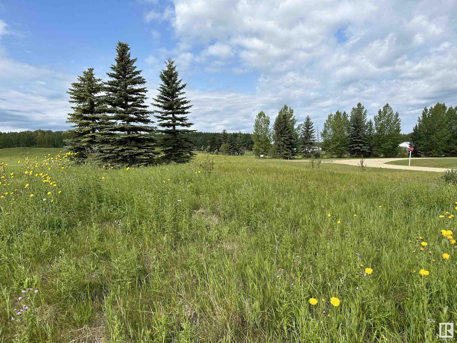 71 15025 Twp Rd 470, Rural Wetaskiwin County, Alberta  T0C 2C0 - Photo 6 - E4397136