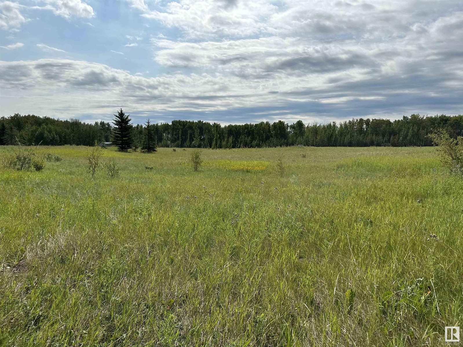 71 15025 Twp Rd 470, Rural Wetaskiwin County, Alberta  T0C 2C0 - Photo 7 - E4397136