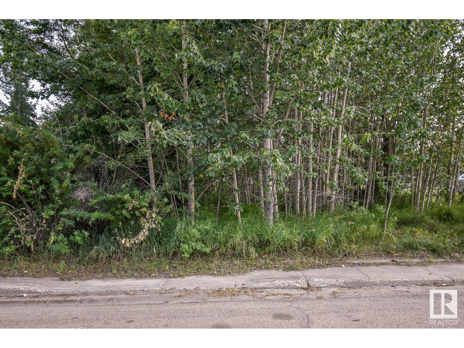 5121 50 Av, Entwistle, Alberta  T0E 0S0 - Photo 2 - E4397910