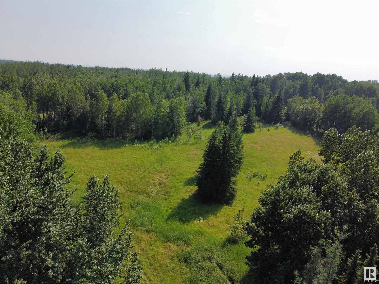 Twp Rd 490a, Rural Brazeau County, Alberta  T0C 0P0 - Photo 11 - E4398564