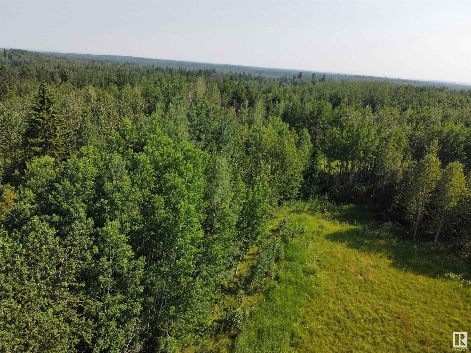 Twp Rd 490a, Rural Brazeau County, Alberta  T0C 0P0 - Photo 12 - E4398564