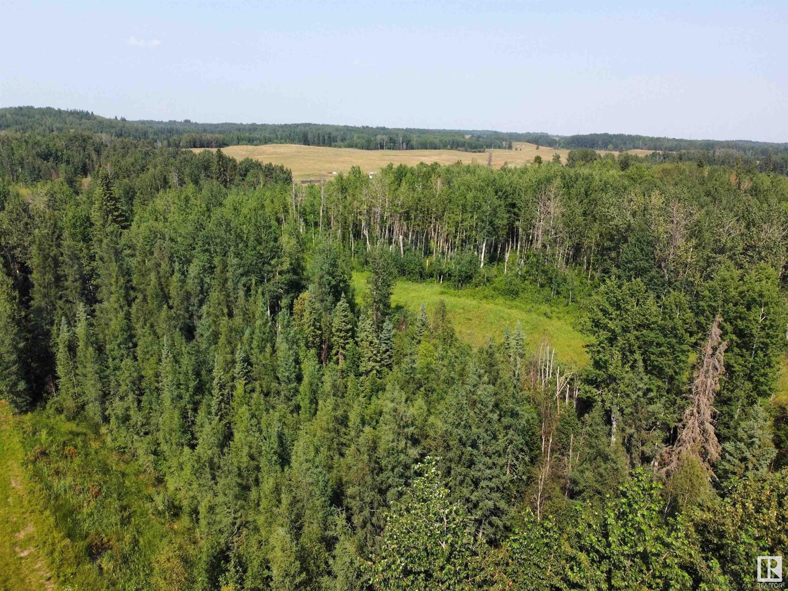 Twp Rd 490a, Rural Brazeau County, Alberta  T0C 0P0 - Photo 20 - E4398564