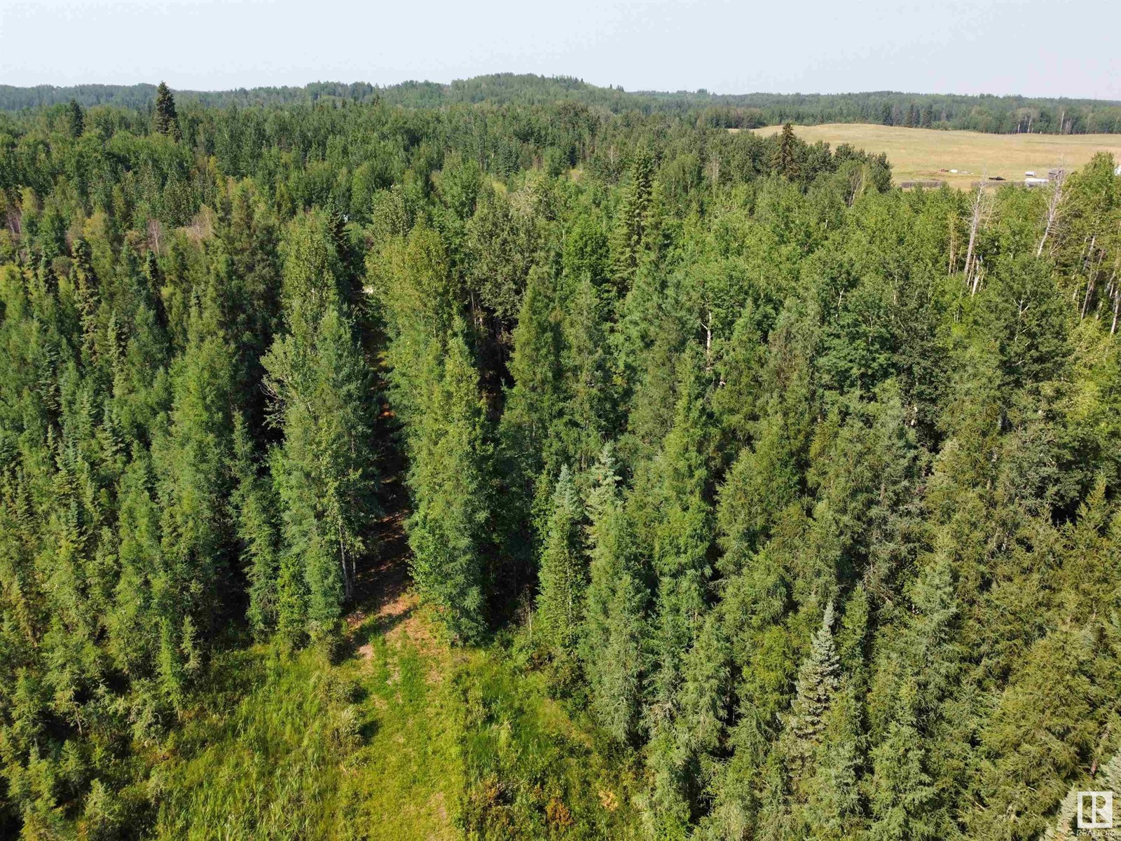 Twp Rd 490a, Rural Brazeau County, Alberta  T0C 0P0 - Photo 21 - E4398564