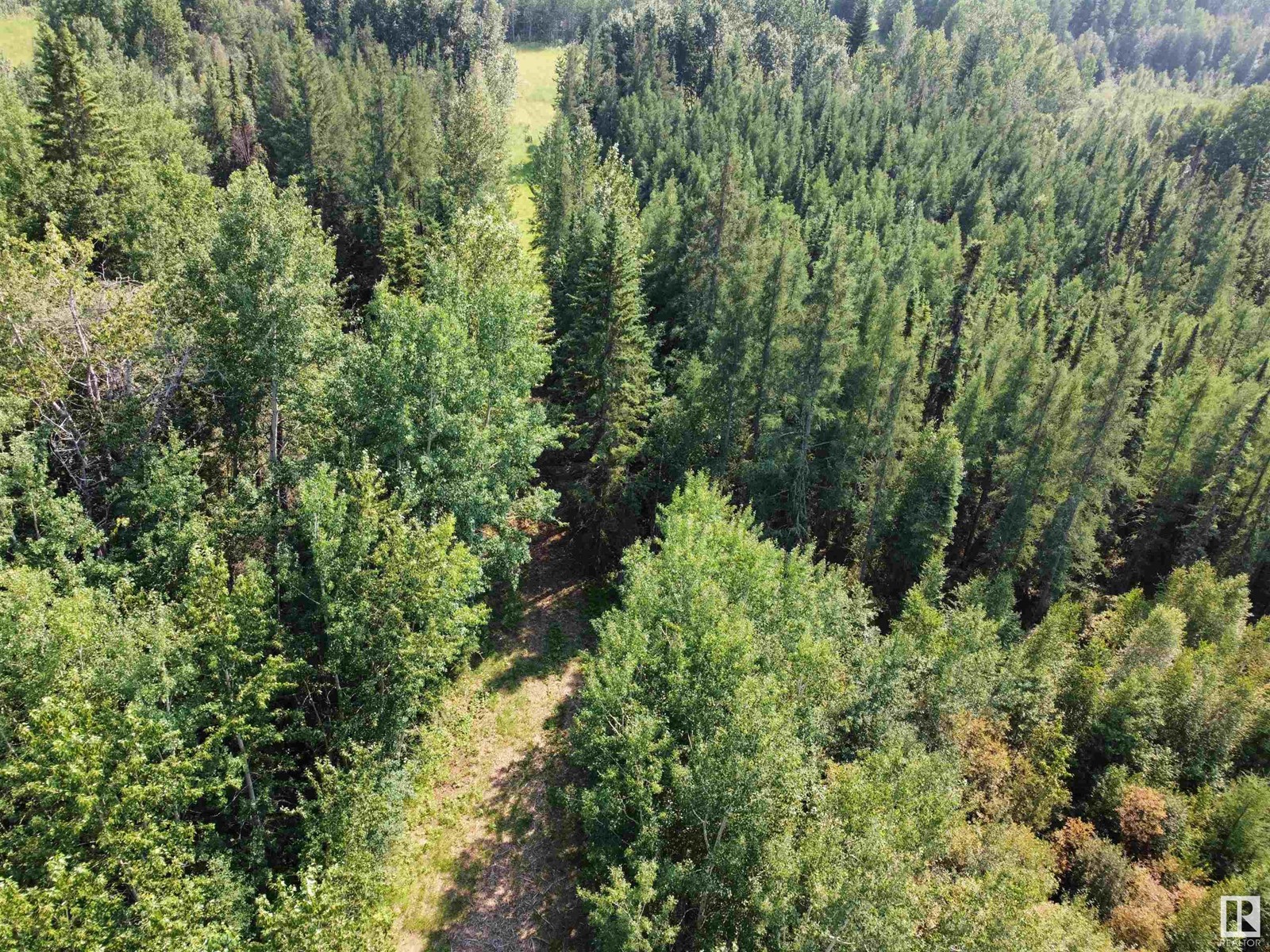 Twp Rd 490a, Rural Brazeau County, Alberta  T0C 0P0 - Photo 22 - E4398564