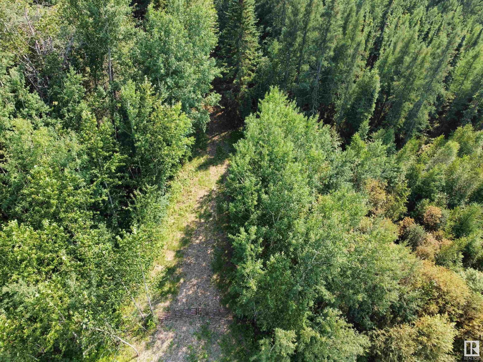 Twp Rd 490a, Rural Brazeau County, Alberta  T0C 0P0 - Photo 23 - E4398564