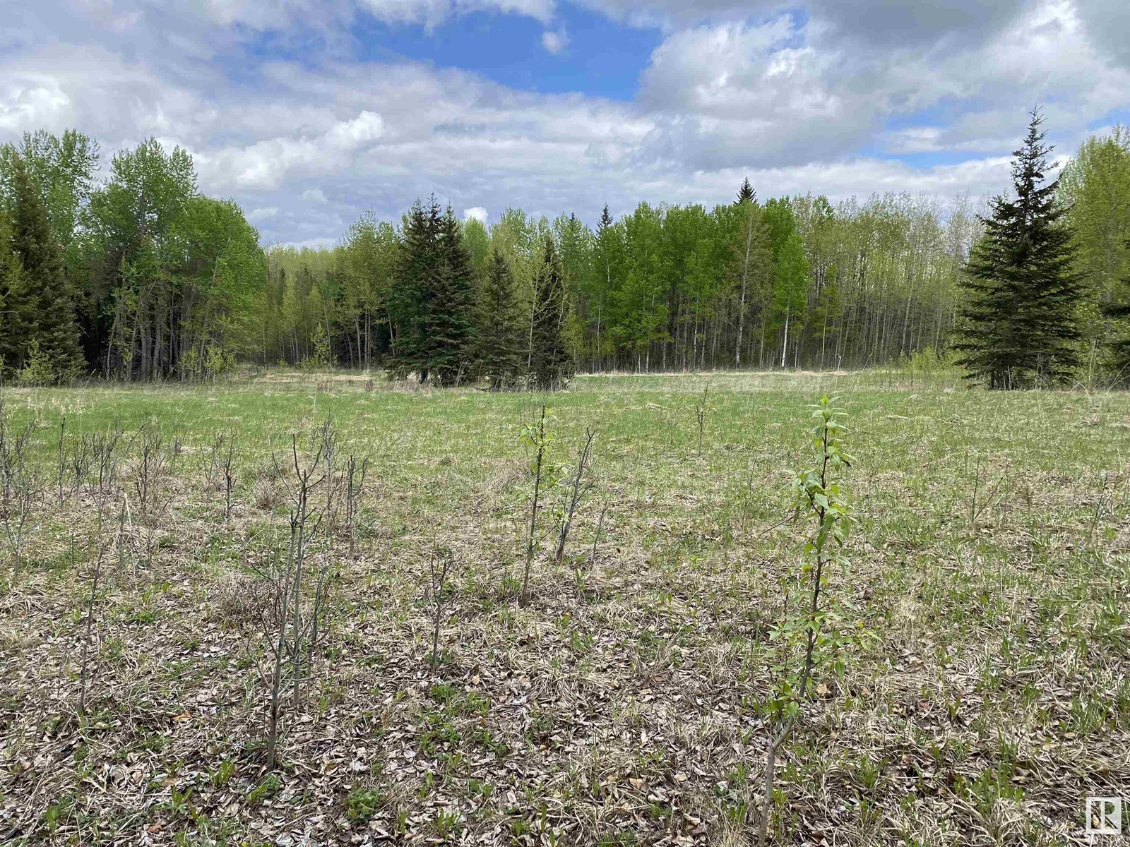 Twp Rd 490a, Rural Brazeau County, Alberta  T0C 0P0 - Photo 35 - E4398564