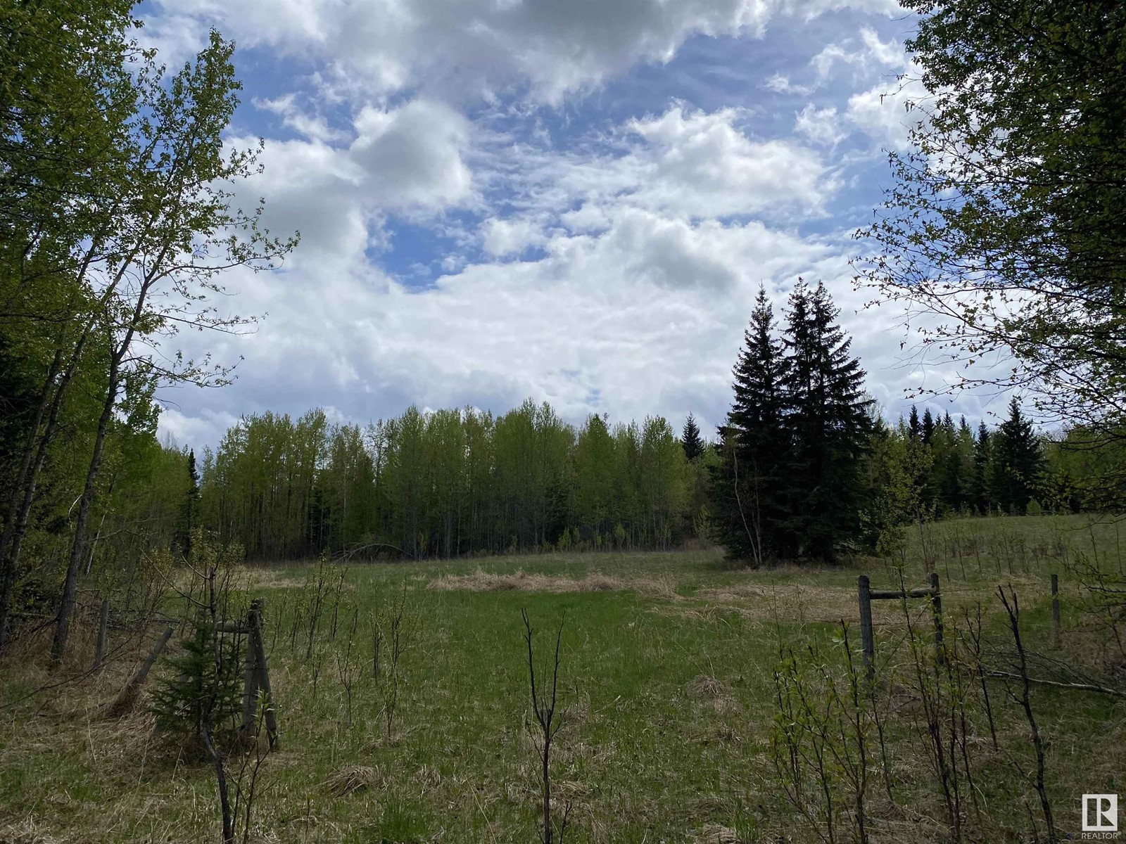 Twp Rd 490a, Rural Brazeau County, Alberta  T0C 0P0 - Photo 36 - E4398564