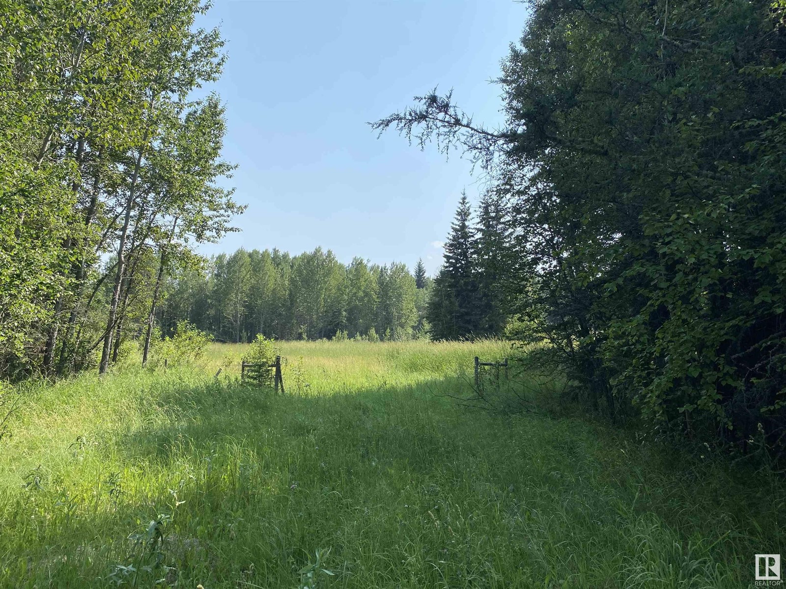 Twp Rd 490a, Rural Brazeau County, Alberta  T0C 0P0 - Photo 38 - E4398564