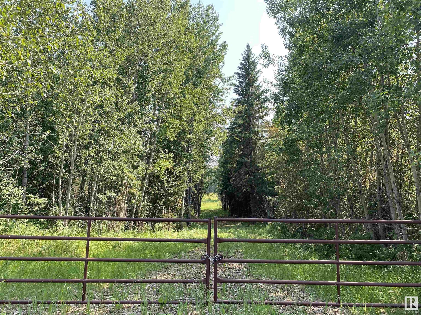 Twp Rd 490a, Rural Brazeau County, Alberta  T0C 0P0 - Photo 4 - E4398564