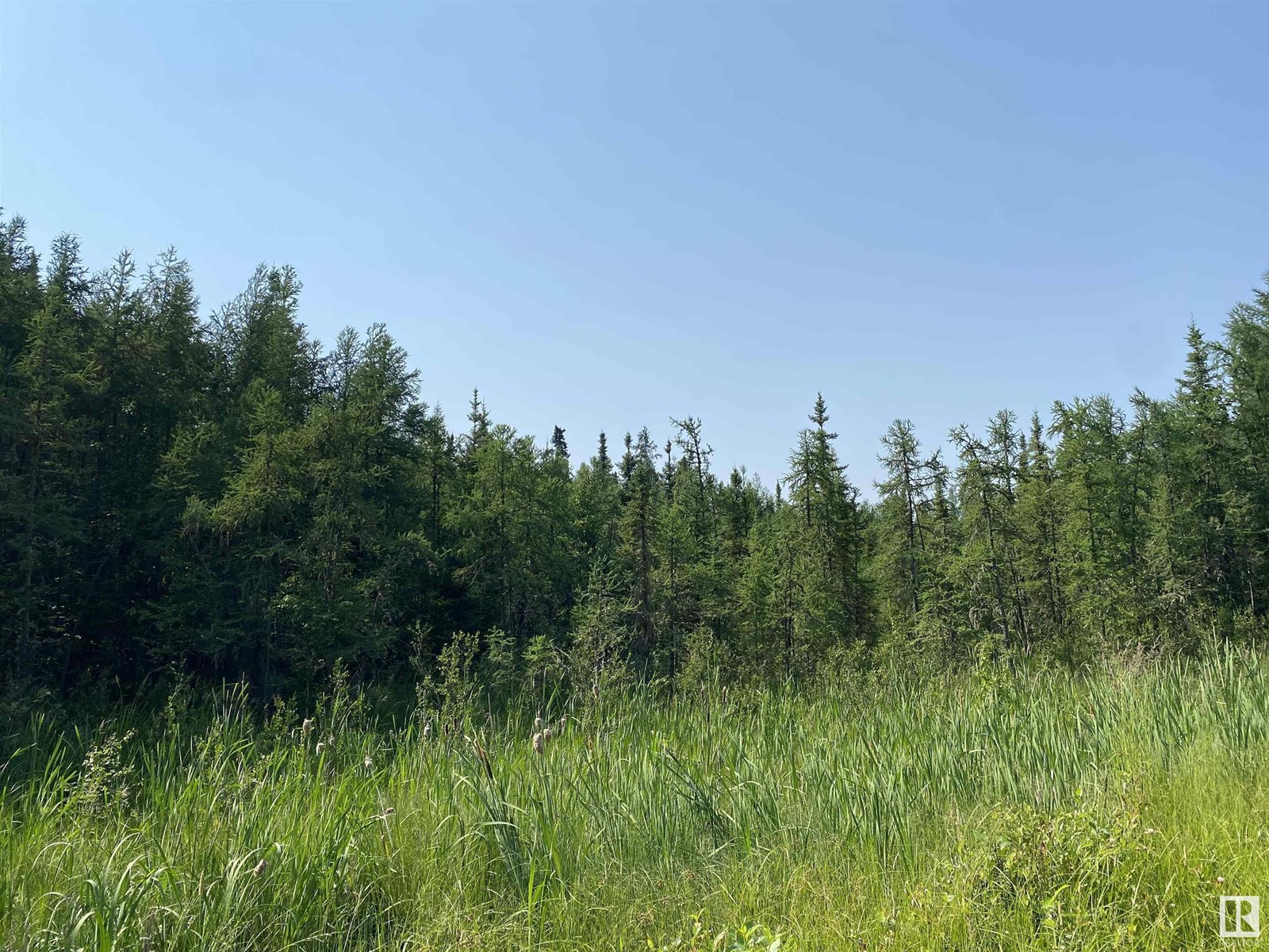 Twp Rd 490a, Rural Brazeau County, Alberta  T0C 0P0 - Photo 41 - E4398564