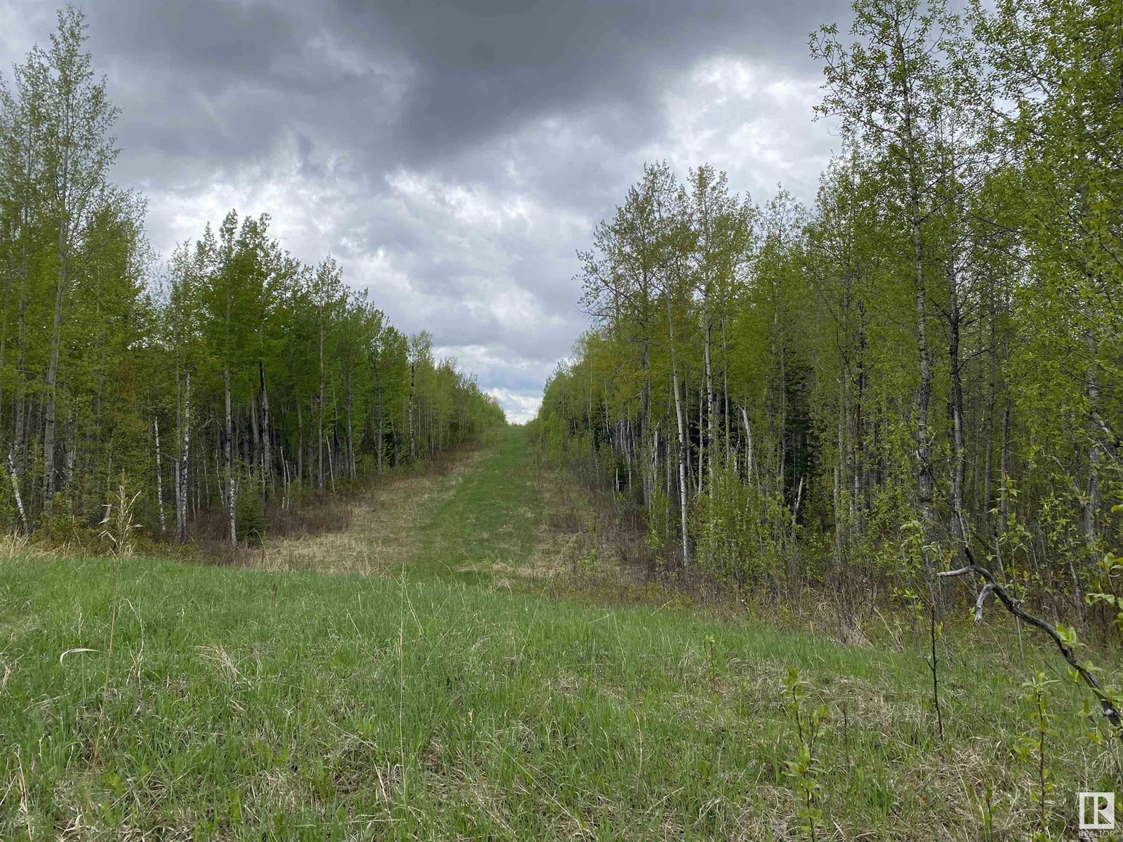 Twp Rd 490a, Rural Brazeau County, Alberta  T0C 0P0 - Photo 44 - E4398564