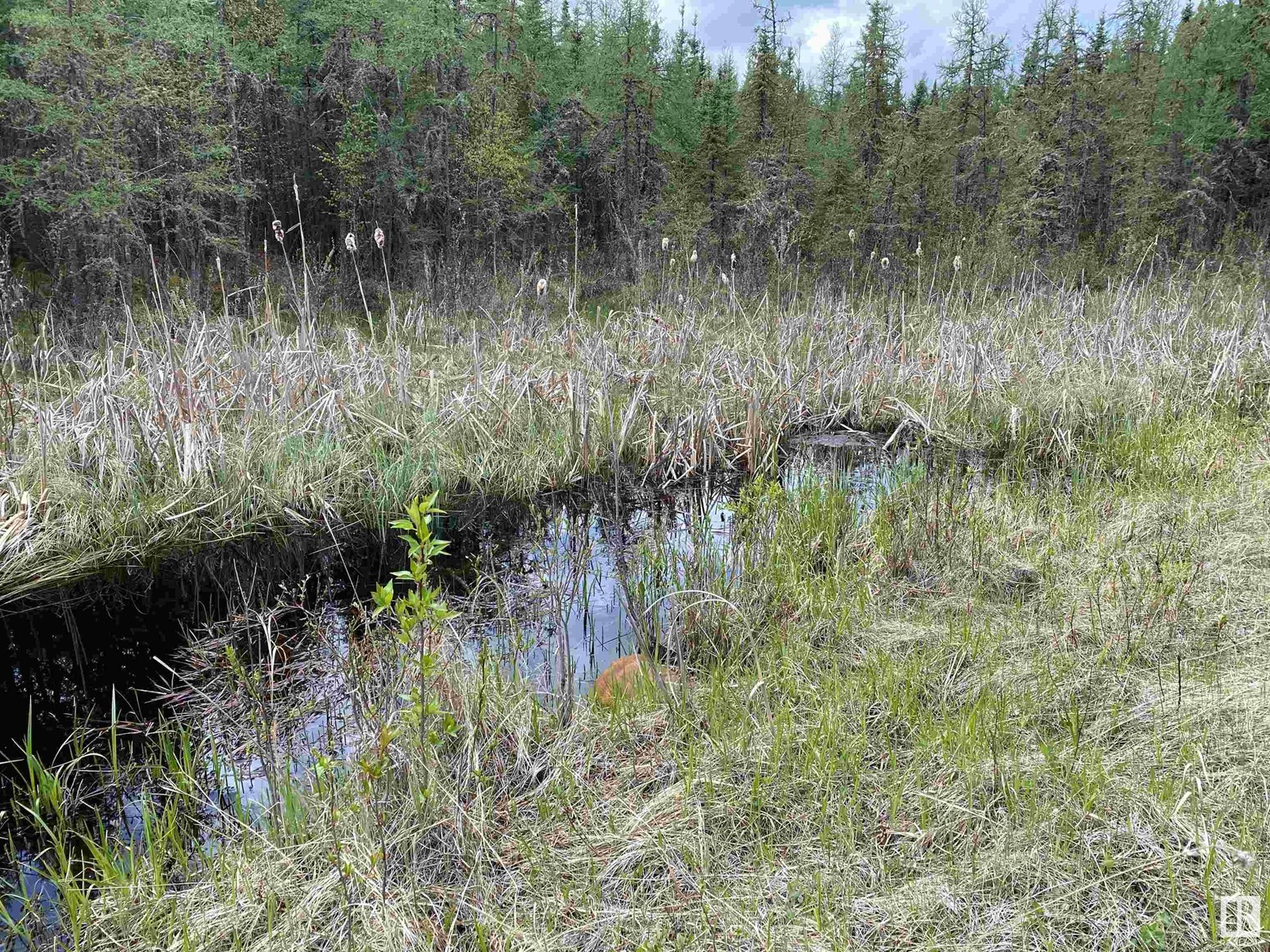 Twp Rd 490a, Rural Brazeau County, Alberta  T0C 0P0 - Photo 49 - E4398564