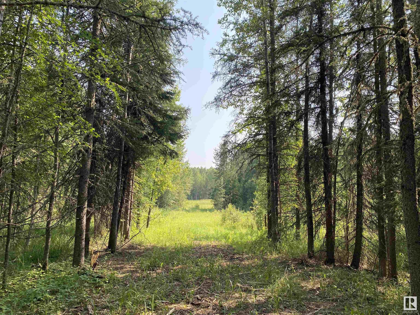 Twp Rd 490a, Rural Brazeau County, Alberta  T0C 0P0 - Photo 5 - E4398564