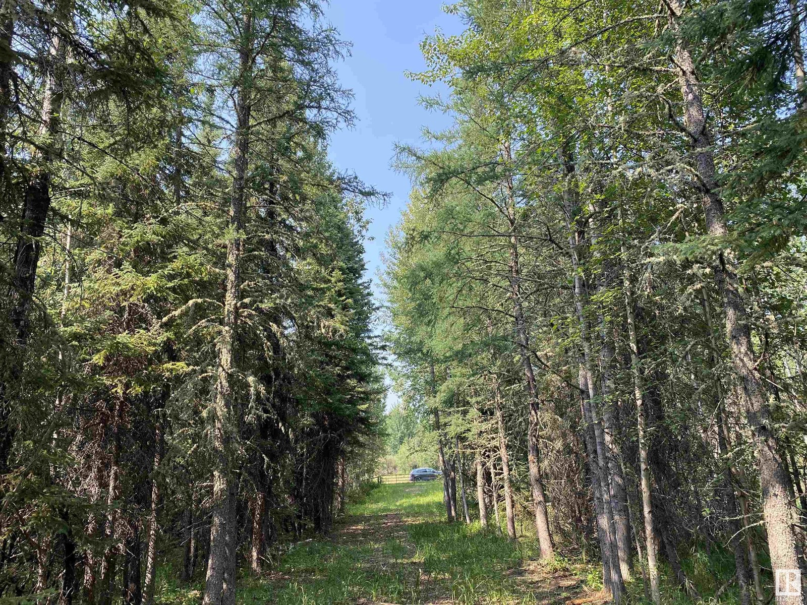 Twp Rd 490a, Rural Brazeau County, Alberta  T0C 0P0 - Photo 6 - E4398564