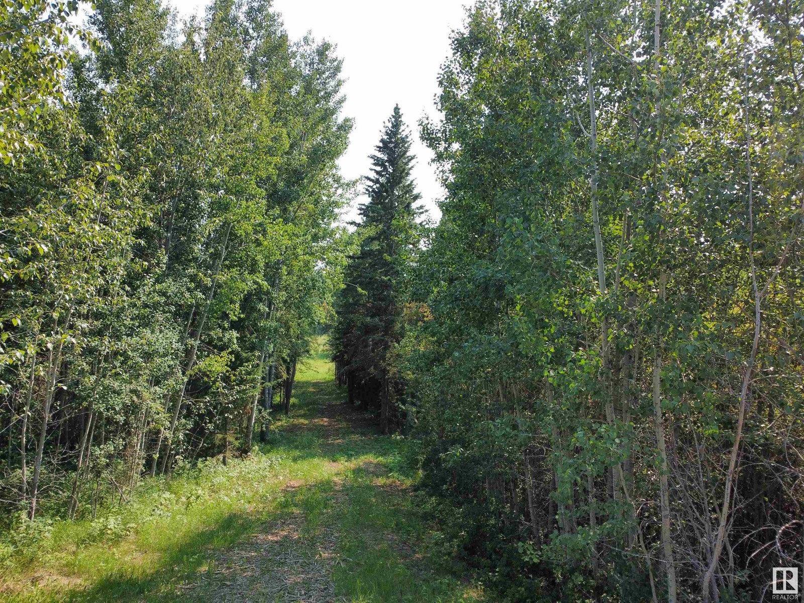 Twp Rd 490a, Rural Brazeau County, Alberta  T0C 0P0 - Photo 7 - E4398564