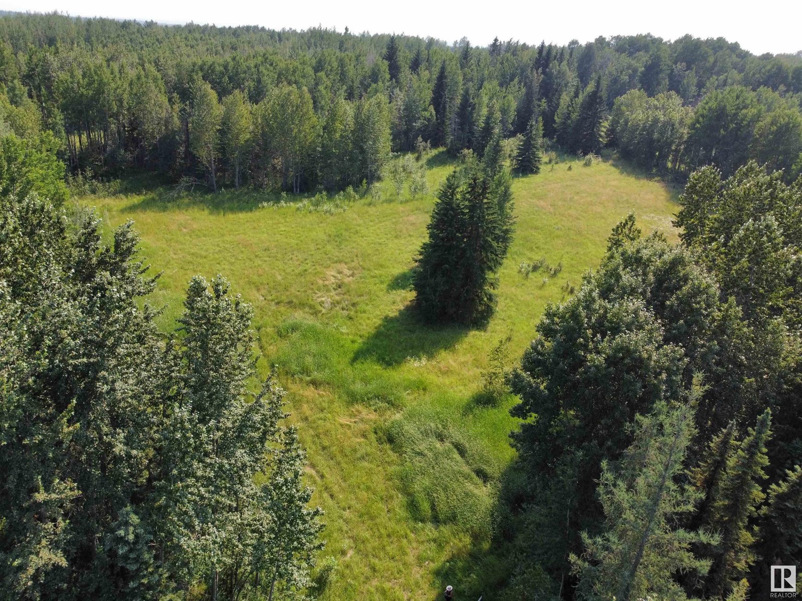 Twp Rd 490a, Rural Brazeau County, Alberta  T0C 0P0 - Photo 9 - E4398564