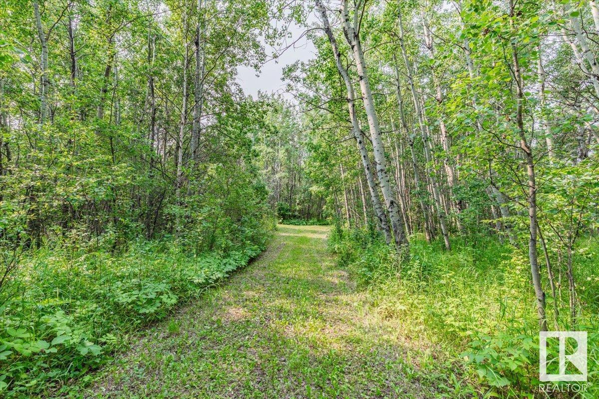 280021 A Hwy 616, Rural Wetaskiwin County, Alberta  T0C 2C0 - Photo 71 - E4398744