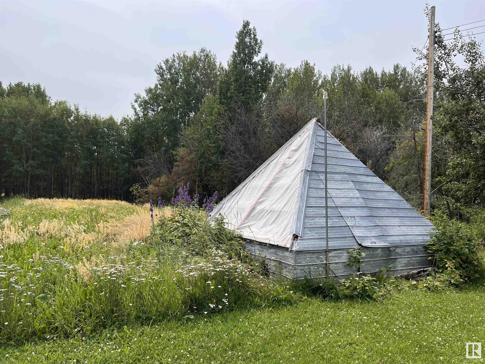 507 Lakeshore Drive, Buck Lake, Rural Wetaskiwin County, Alberta  T0C 0T0 - Photo 14 - E4400385