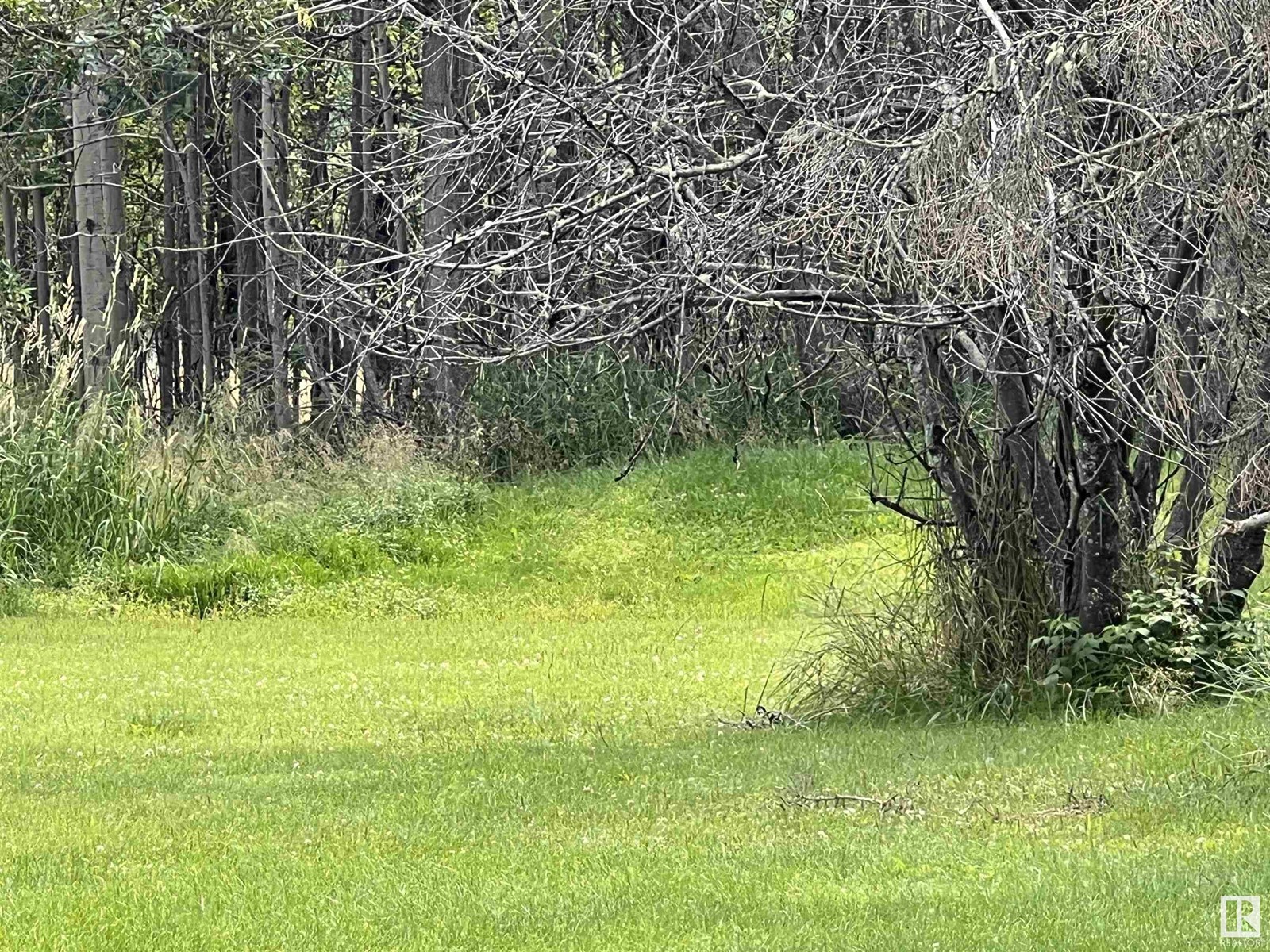 507 Lakeshore Drive, Buck Lake, Rural Wetaskiwin County, Alberta  T0C 0T0 - Photo 27 - E4400385