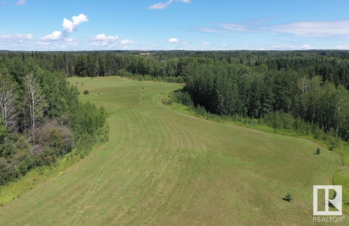 4528 Twp Rd 482, Rural Brazeau County, Alberta  T0C 0P0 - Photo 41 - E4400951