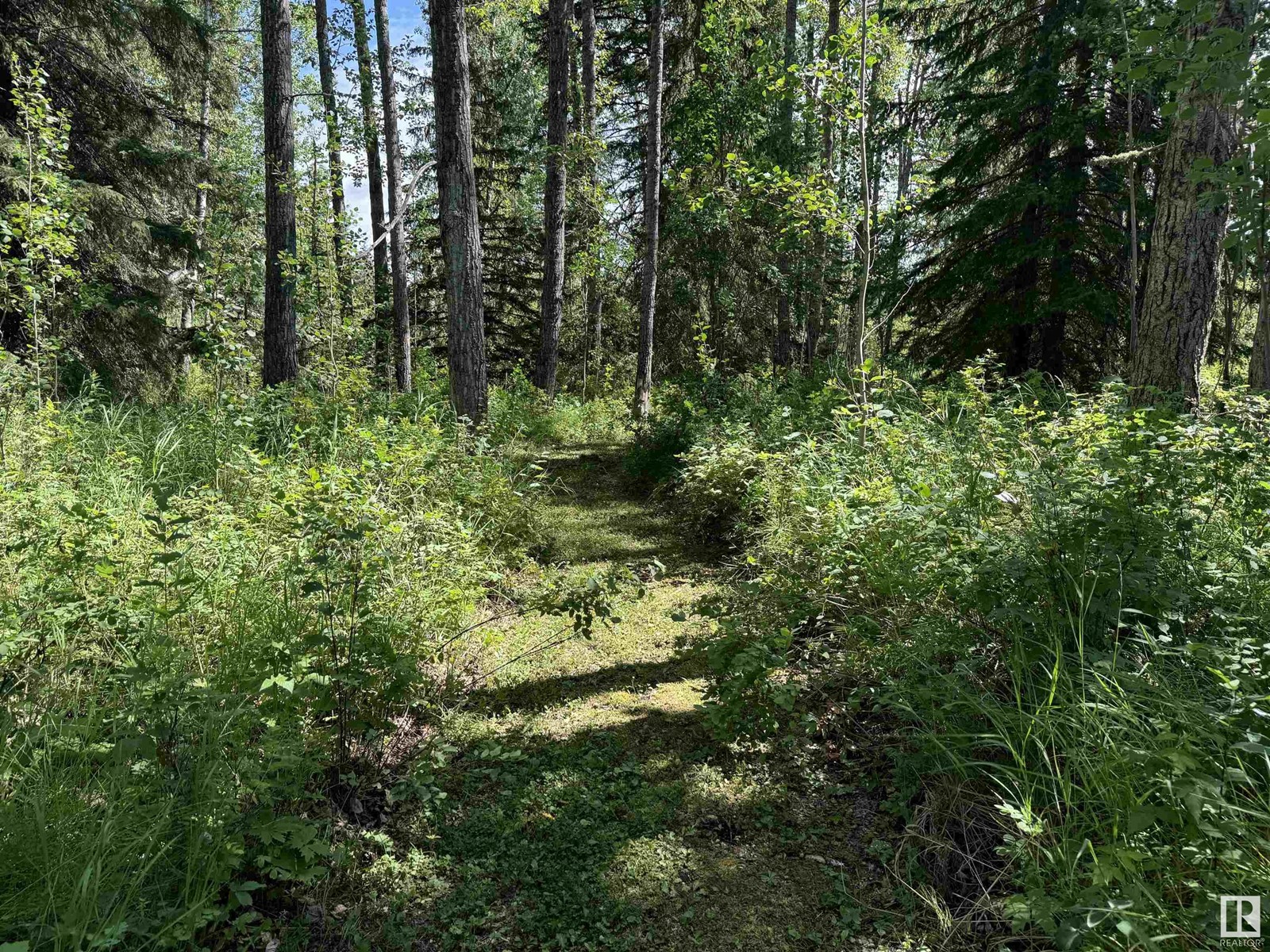 4528 Twp Rd 482, Rural Brazeau County, Alberta  T0C 0P0 - Photo 49 - E4400951