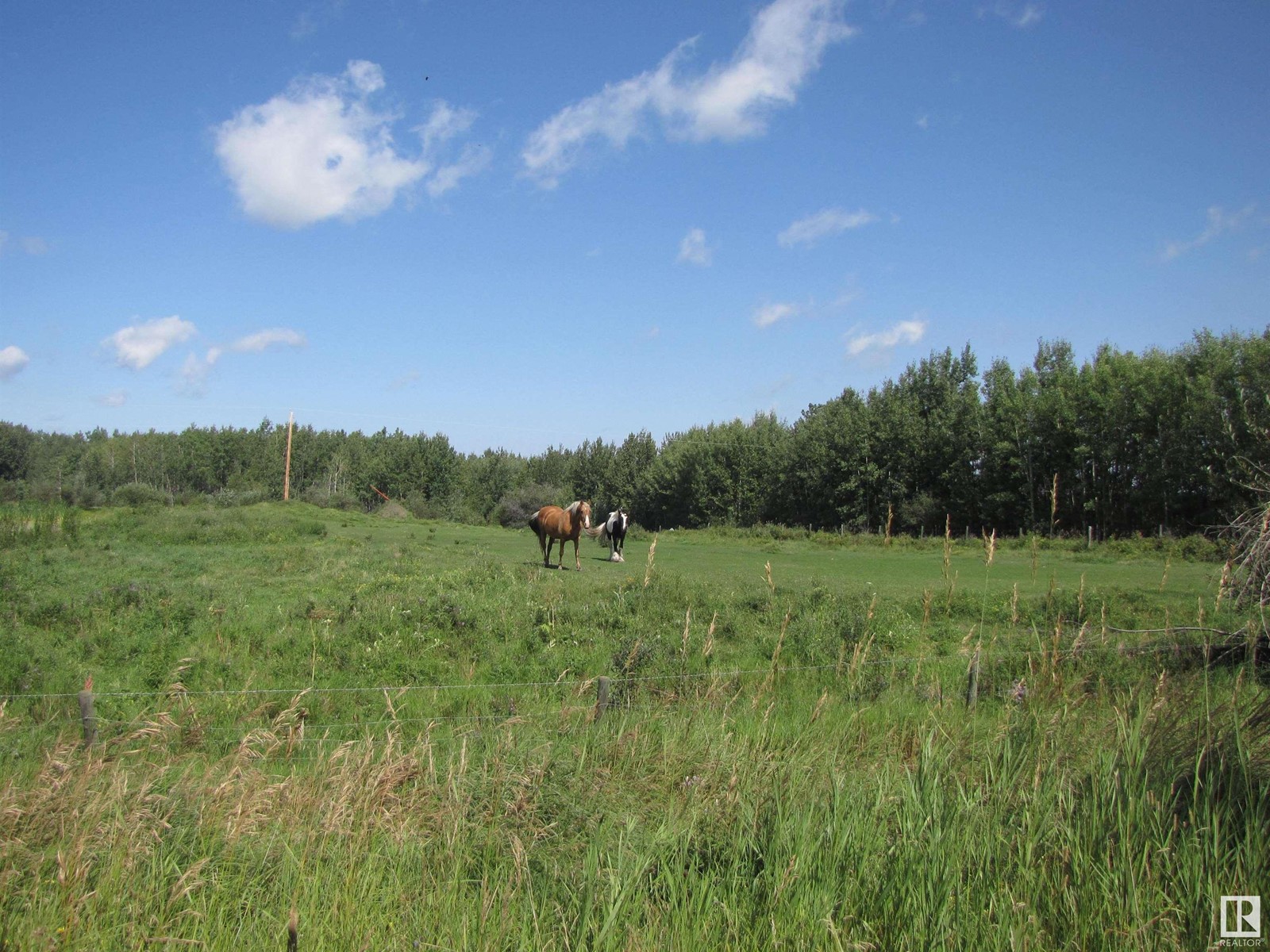 5206 Township Road 550, Rural Lac Ste. Anne County, Alberta  T0E 0L0 - Photo 19 - E4402227