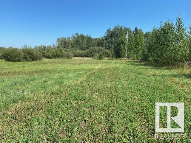 480068 Rg Rd 281, Rural Wetaskiwin County, Alberta  T0C 2P0 - Photo 2 - E4402755