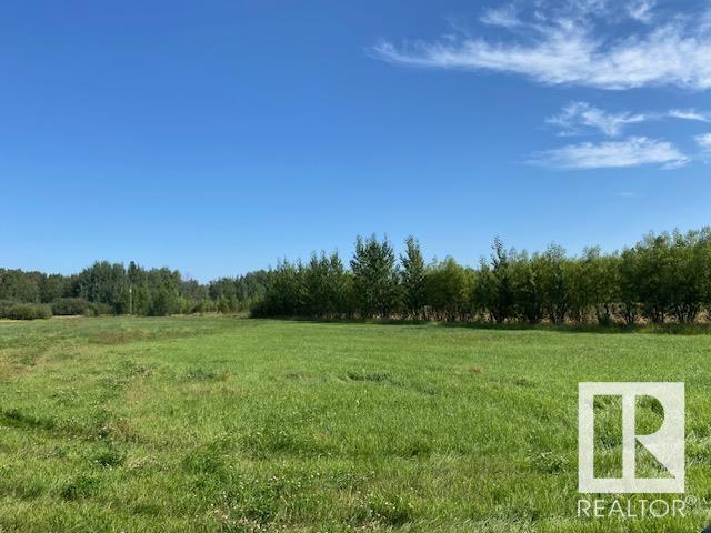 480068 Rg Rd 281, Rural Wetaskiwin County, Alberta  T0C 2P0 - Photo 6 - E4402755