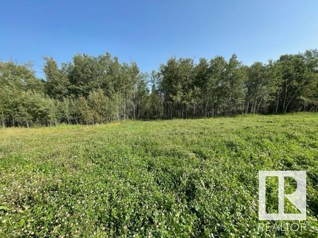 Lot 9 54426 Rge Rd 40, Rural Lac Ste. Anne County, Alberta  T0E 0E0 - Photo 11 - E4402876