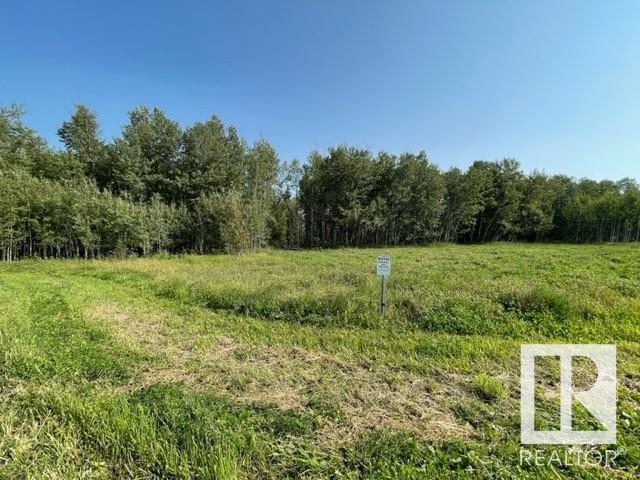 Lot 9 54426 Rge Rd 40, Rural Lac Ste. Anne County, Alberta  T0E 0E0 - Photo 12 - E4402876