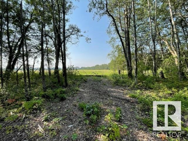 Lot 9 54426 Rge Rd 40, Rural Lac Ste. Anne County, Alberta  T0E 0E0 - Photo 15 - E4402876