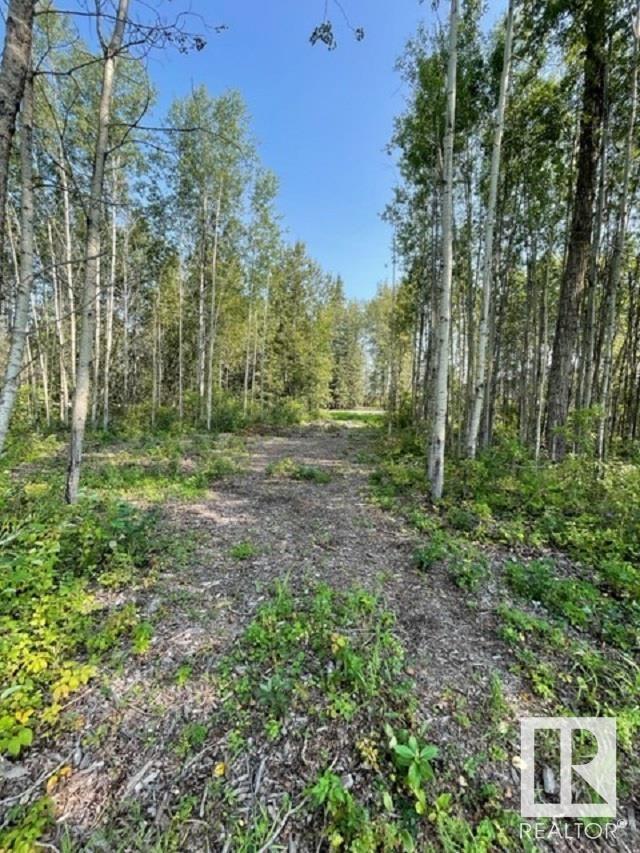 Lot 9 54426 Rge Rd 40, Rural Lac Ste. Anne County, Alberta  T0E 0E0 - Photo 17 - E4402876