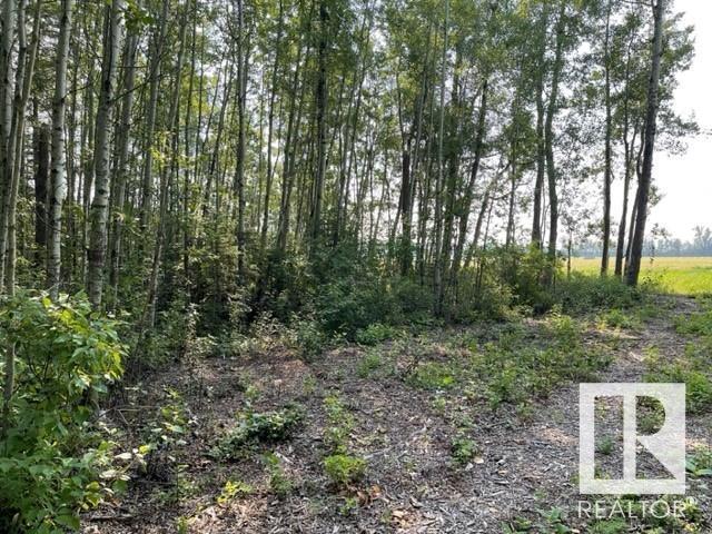 Lot 9 54426 Rge Rd 40, Rural Lac Ste. Anne County, Alberta  T0E 0E0 - Photo 18 - E4402876