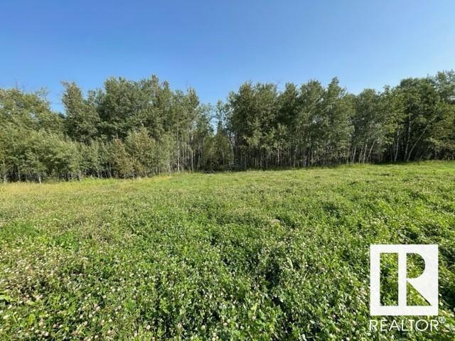 Lot 9 54426 Rge Rd 40, Rural Lac Ste. Anne County, Alberta  T0E 0E0 - Photo 7 - E4402876