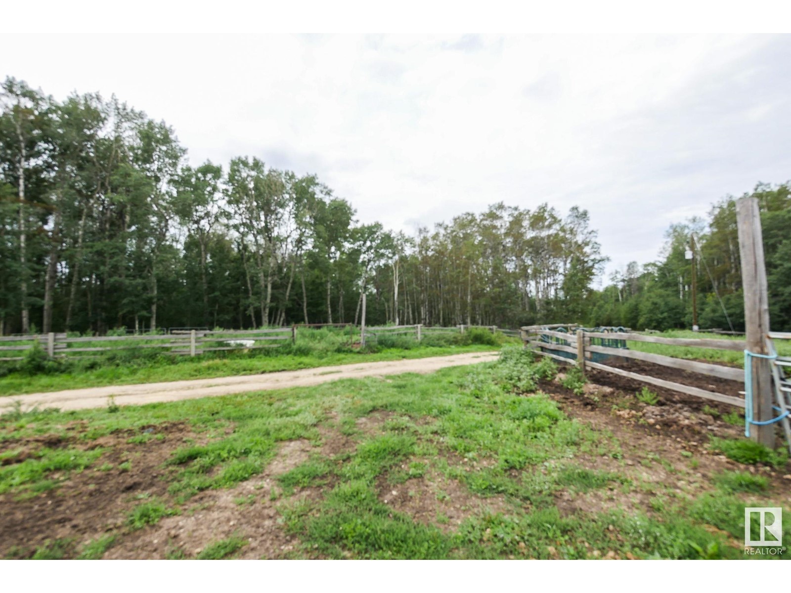 453039 Rge Rd 10, Rural Wetaskiwin County, Alberta  T0C 2V0 - Photo 12 - E4403331