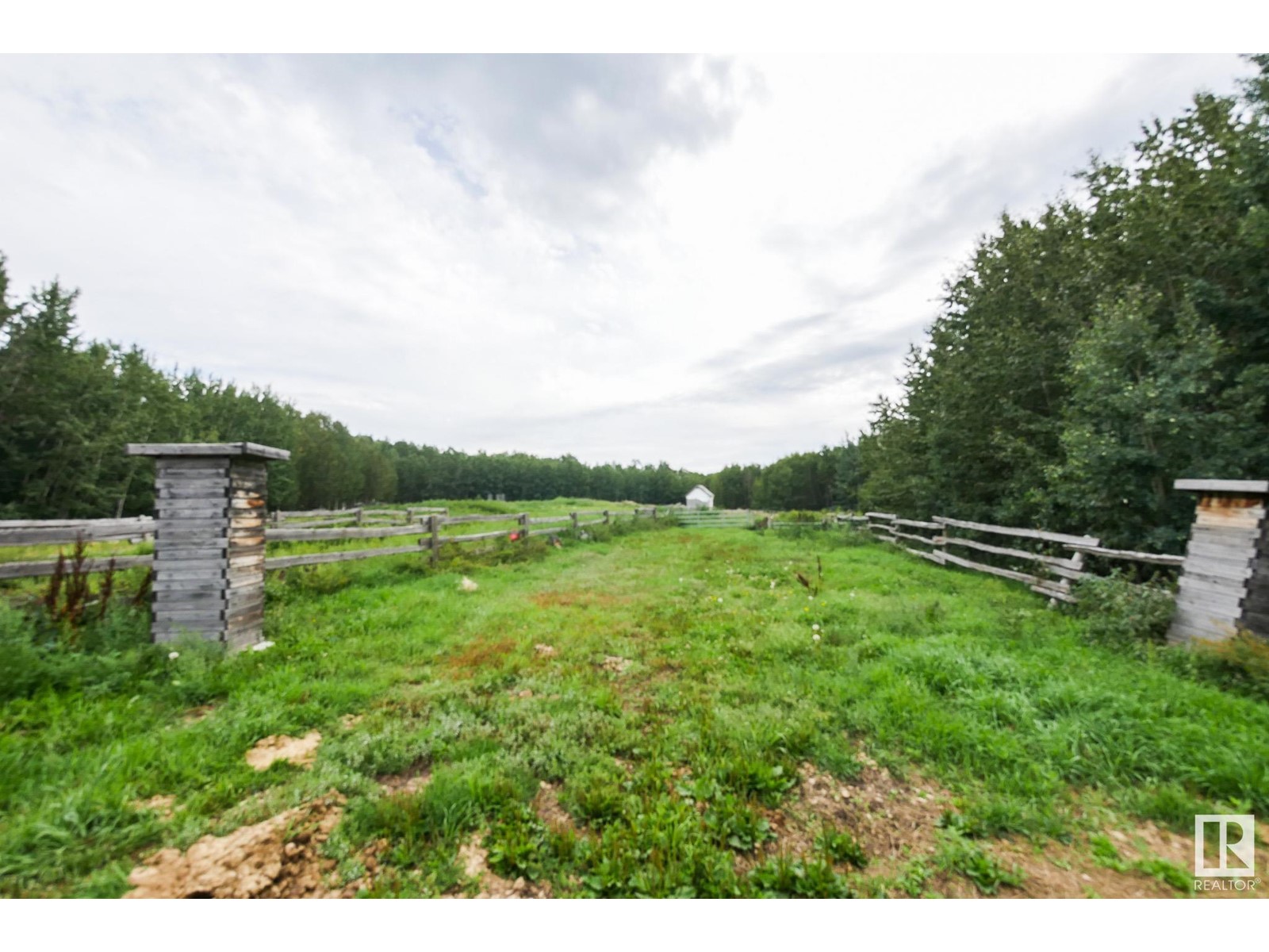 453039 Rge Rd 10, Rural Wetaskiwin County, Alberta  T0C 2V0 - Photo 14 - E4403331