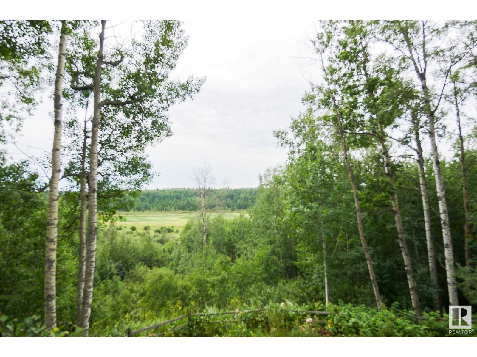 453039 Rge Rd 10, Rural Wetaskiwin County, Alberta  T0C 2V0 - Photo 24 - E4403331