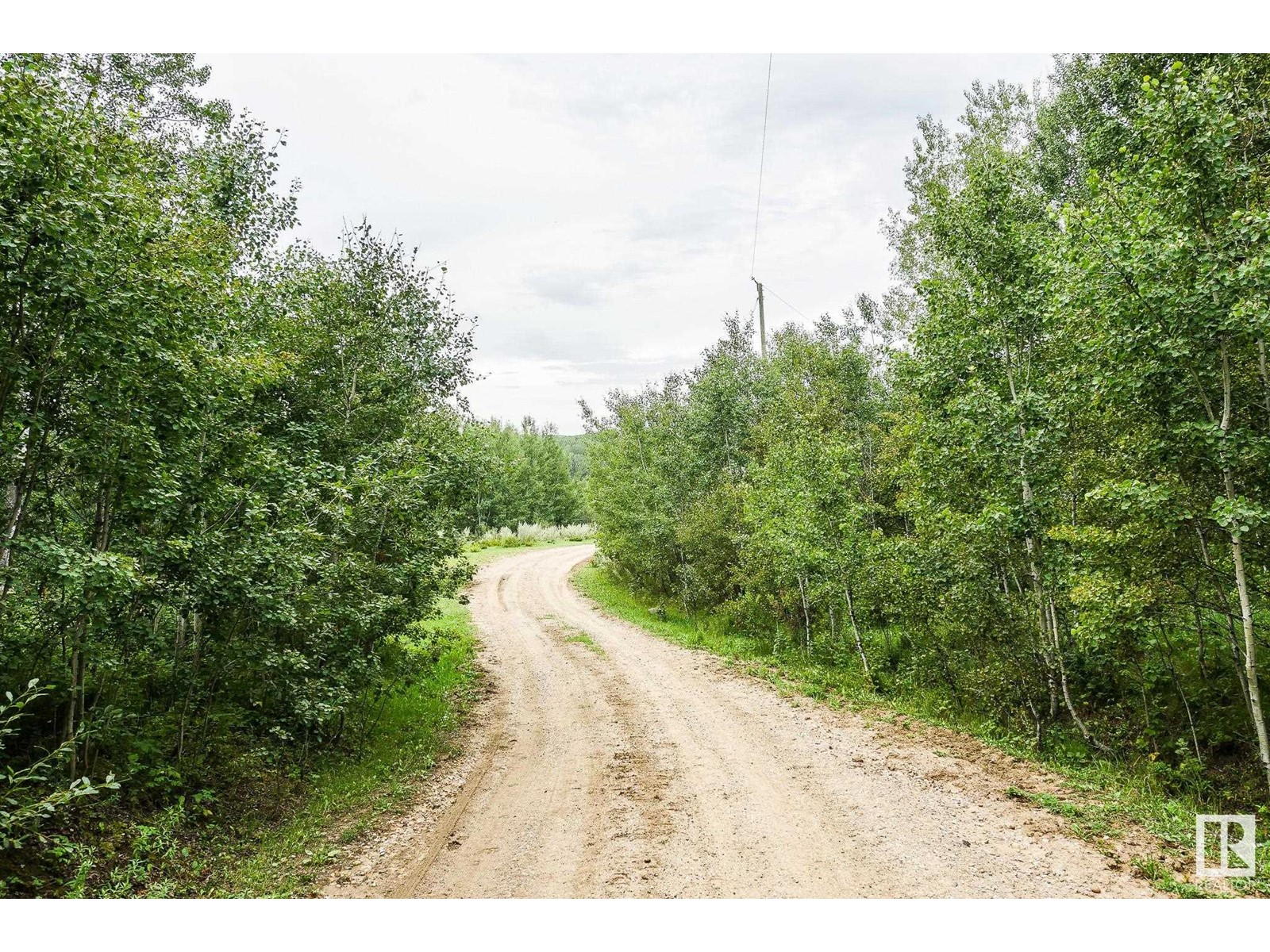 453039 Rge Rd 10, Rural Wetaskiwin County, Alberta  T0C 2V0 - Photo 4 - E4403331